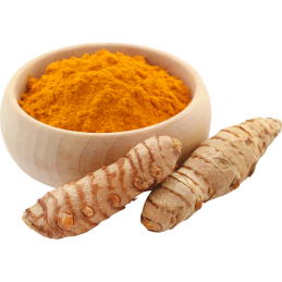 Untitled design 2024 11 16T194711.644