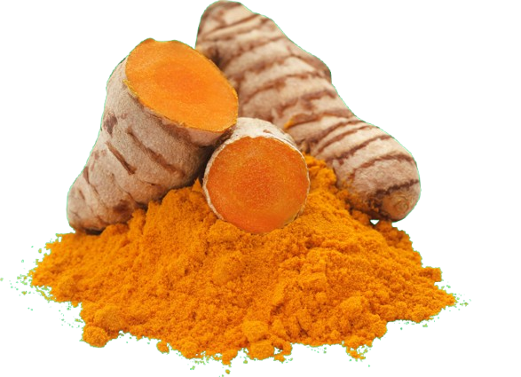 Untitled_design_ _2024 11 07T170124.218 removebg preview